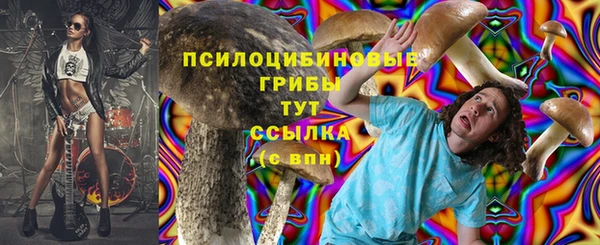 Альфа ПВП Алексин