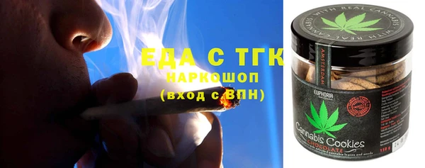 индика Алзамай
